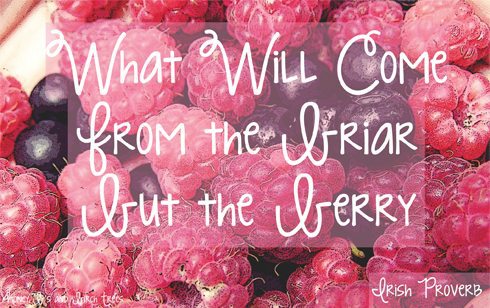 Berries Quotes. QuotesGram