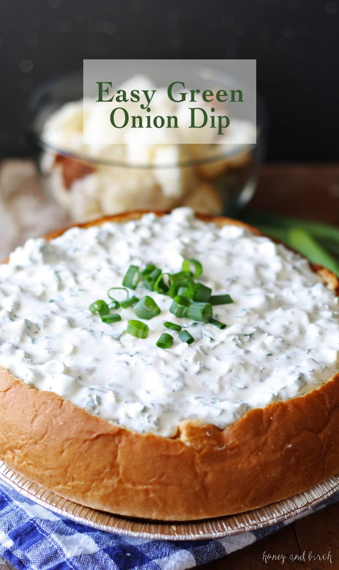 Green Onion Dip - Perfect for Parties and Tailgating