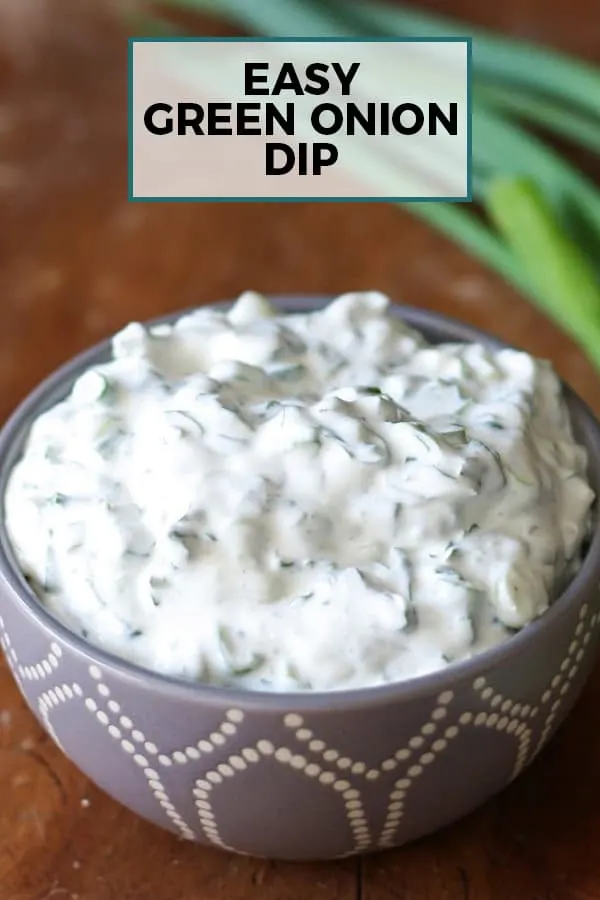 Laura Scudder's Green Onion & Ranch Dip Mixes (Pack of 12)