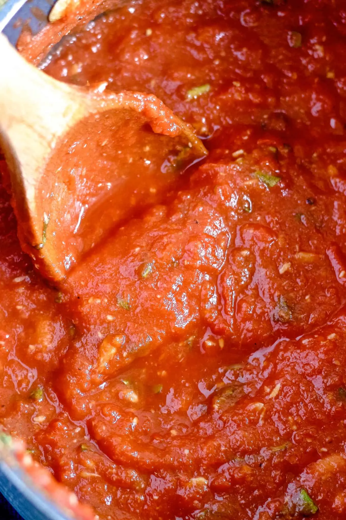 https://www.honeyandbirch.com/wp-content/uploads/2015/08/basil-roasted-garlic-tomato-sauce-6.jpg.webp