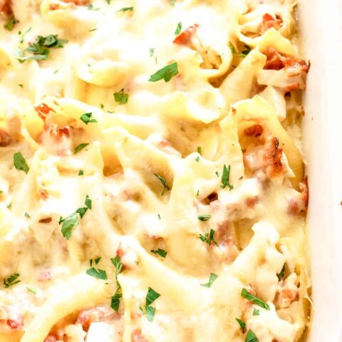 Chicken Bacon Alfredo Stuffed Shells » The Thirsty Feast by honey and birch