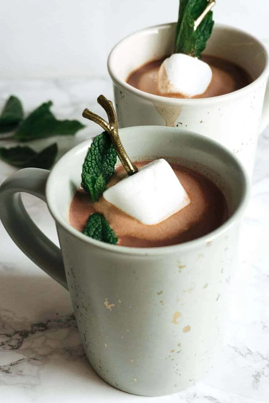 https://www.honeyandbirch.com/wp-content/uploads/2018/11/boozy-mint-hot-chocolate-5.jpg.webp
