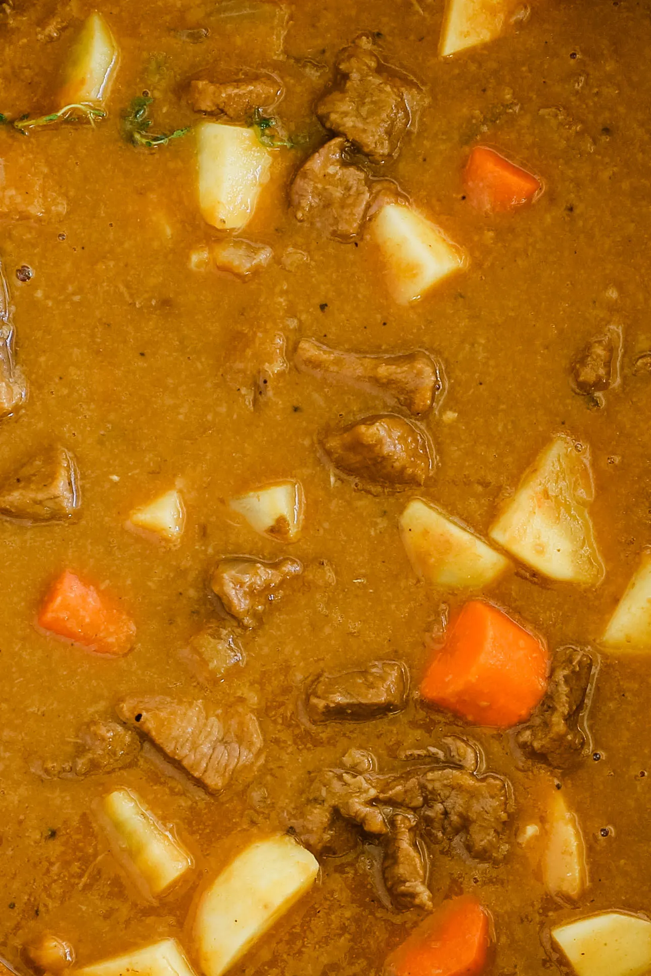 closeup photo of pumpkin beef stew with large chunks of beef, potatoes, and carrots